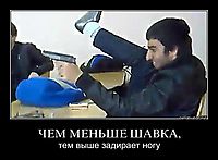 ЧЕМ МЕНЬШЕ ШАВКА, тем выше задирает ногу