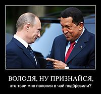 ВОЛОДЯ, НУ ПРИЗНАЙСЯ, это твои мне полония в чай подбросили?