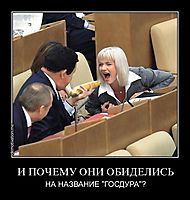 И ПОЧЕМУ ОНИ ОБИДЕЛИСЬ НА НАЗВАНИЕ "ГОСДУРА"?