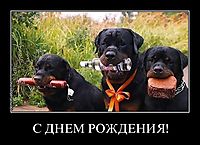 С ДНЕМ РОЖДЕНИЯ! 