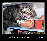 ЭТО ВСЁ ГРЯЗНЫЕ ИНСИНУАЦИИ! 