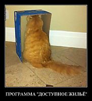 ПРОГРАММА "ДОСТУПНОЕ ЖИЛЬЁ" 