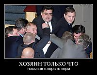 ХОЗЯИН ТОЛЬКО ЧТО насыпал в корыто корм