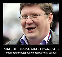 МЫ - НЕ ТВАРИ, МЫ - ГРАЖДАНЕ Российской Федерации и избиратели, свинья