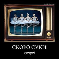 СКОРО СУКИ! скоро!