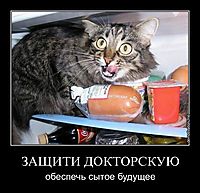 ЗАЩИТИ ДОКТОРСКУЮ