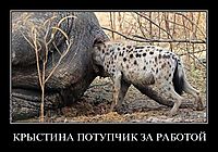 КРЫСТИНА ПОТУПЧИК ЗА РАБОТОЙ 