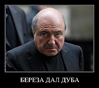 БЕРЕЗА ДАЛ ДУБА 