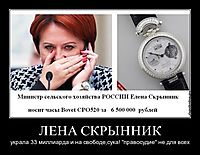 ЛЕНА СКРЫННИК украла 33 миллиарда и на свободе,сука! "правосудие" не для всех