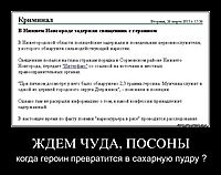 ЖДЕМ ЧУДА, ПОСОНЫ когда героин превратится в сахарную пудру ?
