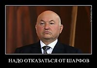НАДО ОТКАЗАТЬСЯ ОТ ШАРФОВ 