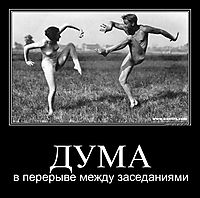 ДУМА в перерыве между заседаниями