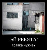 ЭЙ РЕБЯТА! травка нужна?