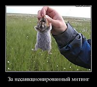 За несанкционированный митинг 