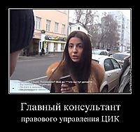 Главный консультант правового управления ЦИК