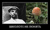 ШКОЛОТЕ НЕ ПОНЯТЬ 