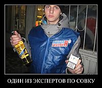 ОДИН ИЗ ЭКСПЕРТОВ ПО СОВКУ 