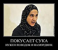 ПОКУСАЕТ СУКА НУЖЕН ПОВОДОК И НАМОРДНИК.