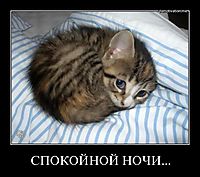 СПОКОЙНОЙ НОЧИ... 