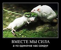 ВМЕСТЕ МЫ СИЛА а по одиночке нас сожрут