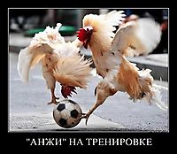 "АНЖИ" НА ТРЕНИРОВКЕ