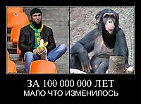 ЗА 100 000 000 ЛЕТ МАЛО ЧТО ИЗМЕНИЛОСЬ