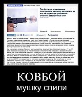 КОВБОЙ мушку спили