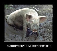 ЗАМИНУСОВАННЫЙ НЕДОПИЗДЕЦ 