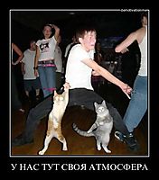 У НАС ТУТ СВОЯ АТМОСФЕРА 
