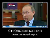 СТВОЛОВЫЕ КЛЕТКИ на мозги не действуют