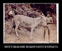 МУСУЛЬМАНЕ НАБИРАЮТСЯ ОПЫТА 