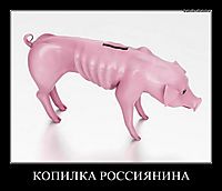 КОПИЛКА РОССИЯНИНА 