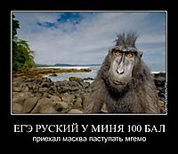 ЕГЭ РУСКИЙ У МИНЯ 100 БАЛ приехал масква паступать мгемо