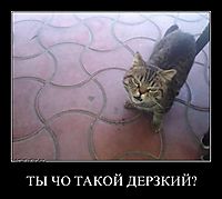 ТЫ ЧО ТАКОЙ ДЕРЗКИЙ? 