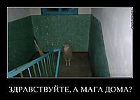 ЗДРАВСТВУЙТЕ, А МАГА ДОМА? 