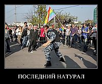 ПОСЛЕДНИЙ НАТУРАЛ 