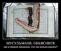 МУСУЛЬМАНЕ, ОБЪЯСНИТЕ где в коране написано, что так нельзя делать?
