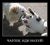 ЧАРЛЕК, ИДИ НАХУЙ! 