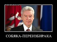 СОБЯКА-ПЕРЕИЗБИРАКА 