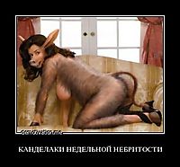 КАНДЕЛАКИ НЕДЕЛЬНОЙ НЕБРИТОСТИ 