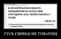ГУСЬ СВИНЬЕ НЕ ТОВАРИЩ 