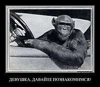 ДЕВУШКА, ДАВАЙТЕ ПОЗНАКОМИМСЯ? 