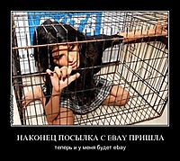 НАКОНЕЦ ПОСЫЛКА C EBAY ПРИШЛА теперь и у меня будет ebay