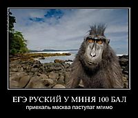 ЕГЭ РУСКИЙ У МИНЯ 100 БАЛ