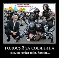 ГОЛОСУЙ ЗА СОБЯНИНА ведь он любит тебя, Задрот…