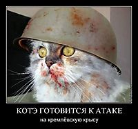 КОТЭ ГОТОВИТСЯ К АТАКЕ на кремлёвскую крысу