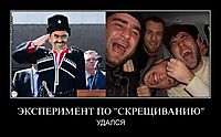 ЭКСПЕРИМЕНТ ПО "СКРЕЩИВАНИЮ" УДАЛСЯ
