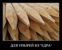 ДЛЯ УПЫРЕЙ ИЗ "ЕДРА" 