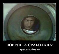 ЛОВУШКА СРАБОТАЛА: крыса поймана