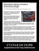 СТАТЬЯ 245 УК РФ издевательство над животными